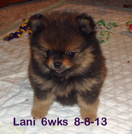 Lani6